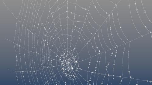 Spiderweb with dew preview image
